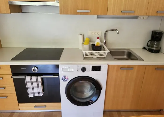 Apartma Runi Pod Zlato Lisico شقة Pekre